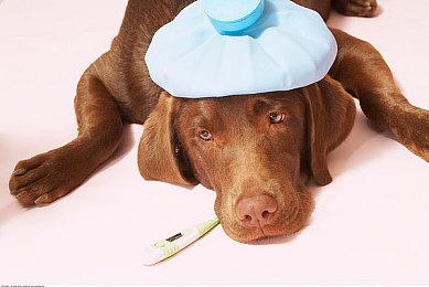 梁其伟：公司已经把其它所有新项目砍掉，专注于《影之刃零》